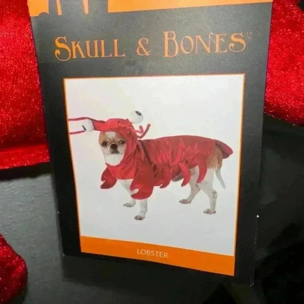 NWT! Skull & Bones Pet Costume Lobster Red M - Picture 9 of 15